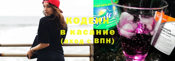 шишки Наволоки