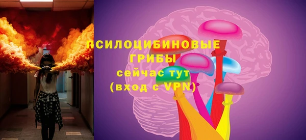 шишки Наволоки
