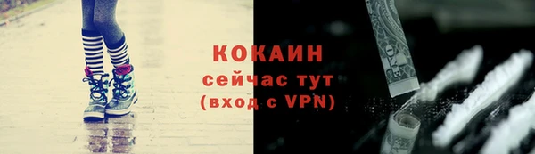 шишки Наволоки