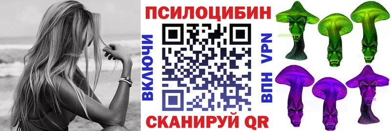 Галлюциногенные грибы Psilocybe  Армавир 