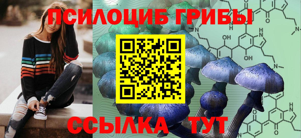 Псилоцибиновые грибы MAGIC MUSHROOMS  Вход с VPN  Армавир  Псилоцибиновые грибы GOLDEN TEACHER 