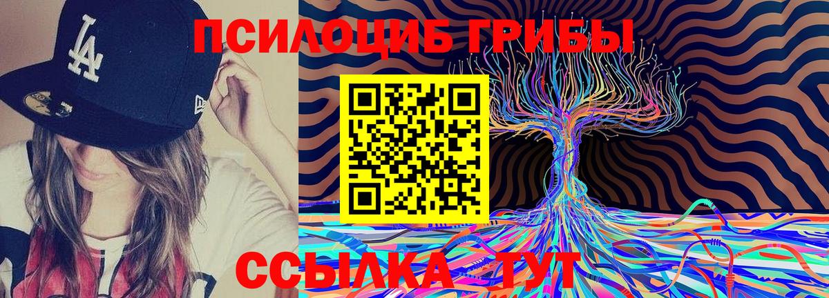 Галлюциногенные грибы Magic Shrooms Армавир