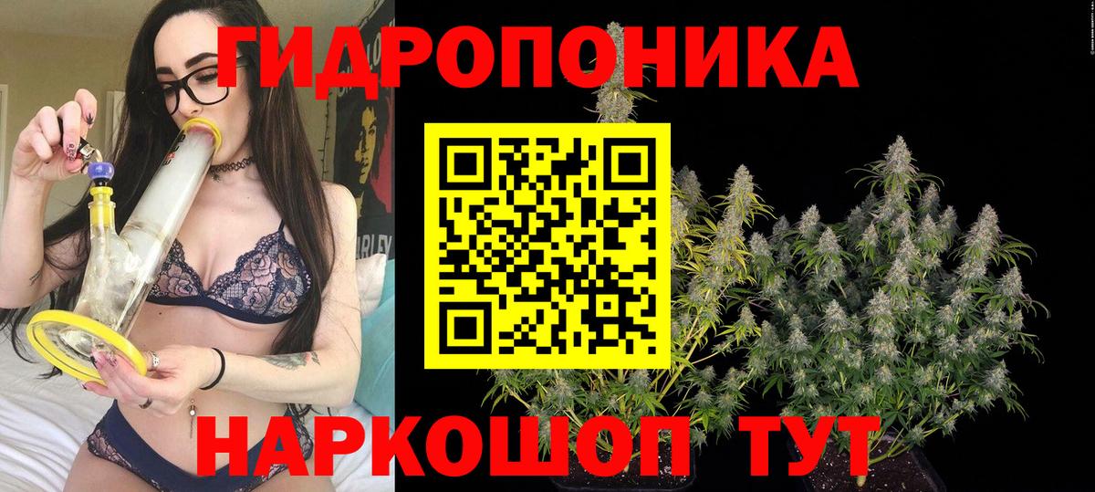 Конопля марихуана  Вход с VPN  Бошки марихуана Bruce Banner  Армавир  МАРИХУАНА план 